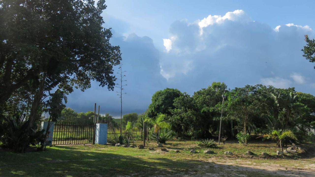 KwaMazambane Lodge Umusa מראה חיצוני תמונה