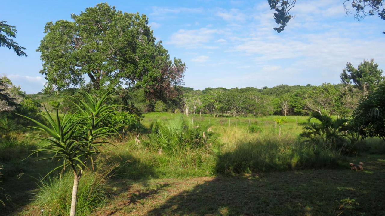 KwaMazambane Lodge Umusa מראה חיצוני תמונה