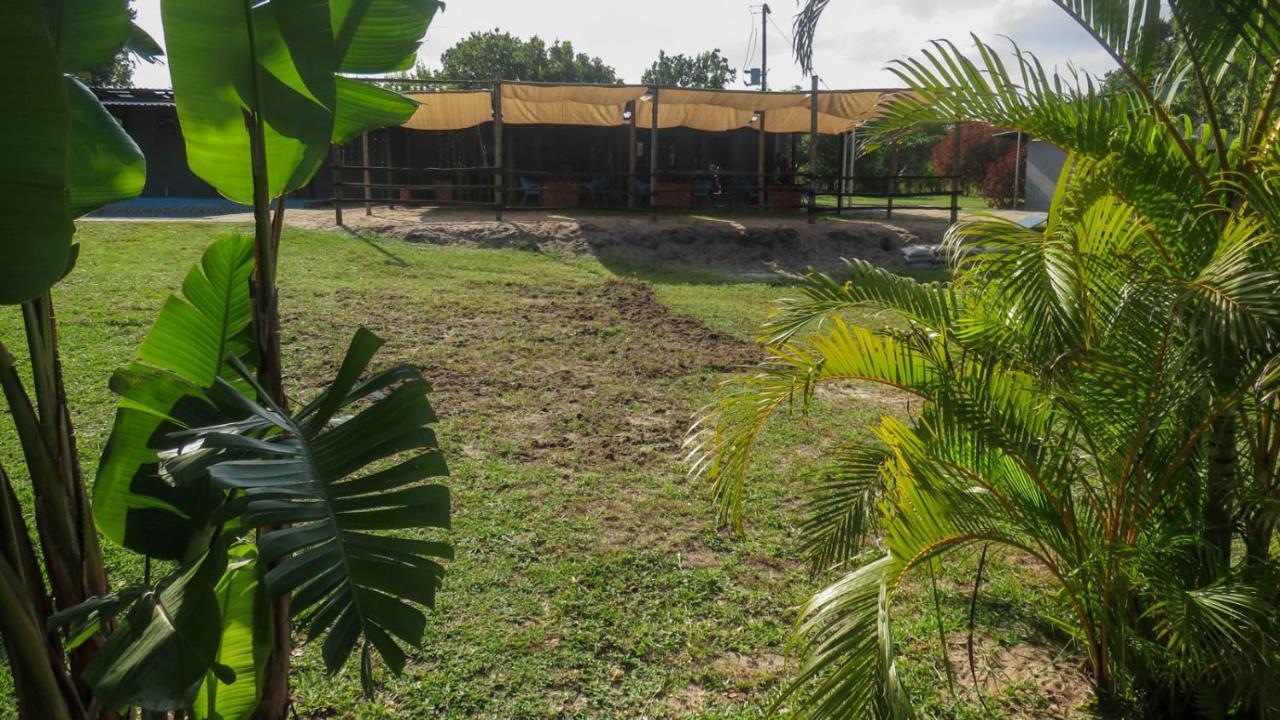 KwaMazambane Lodge Umusa מראה חיצוני תמונה