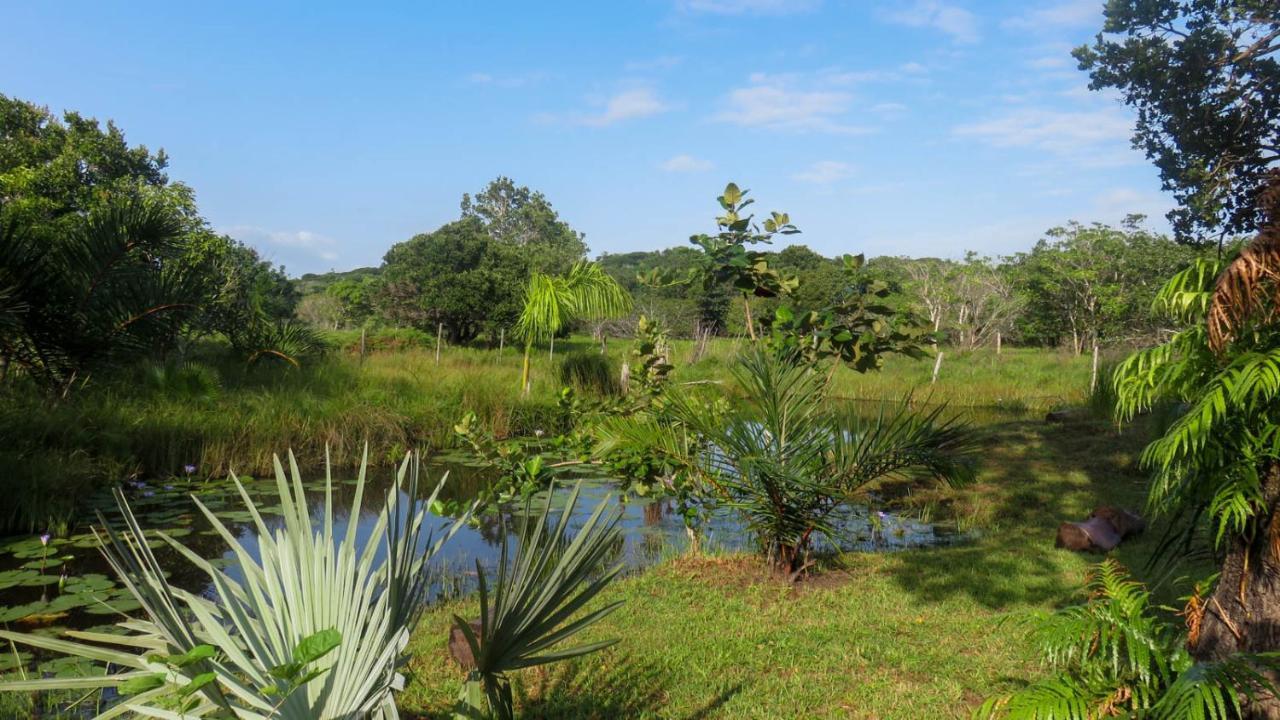 KwaMazambane Lodge Umusa מראה חיצוני תמונה