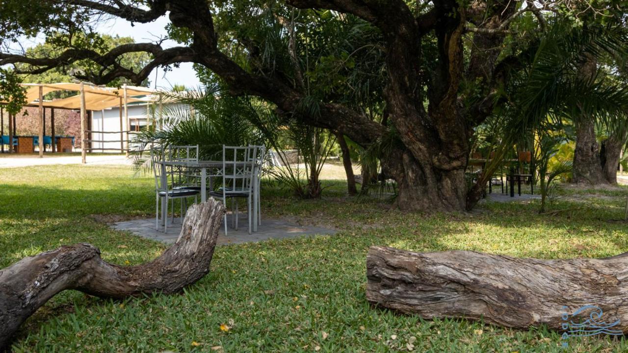 KwaMazambane Lodge Umusa מראה חיצוני תמונה